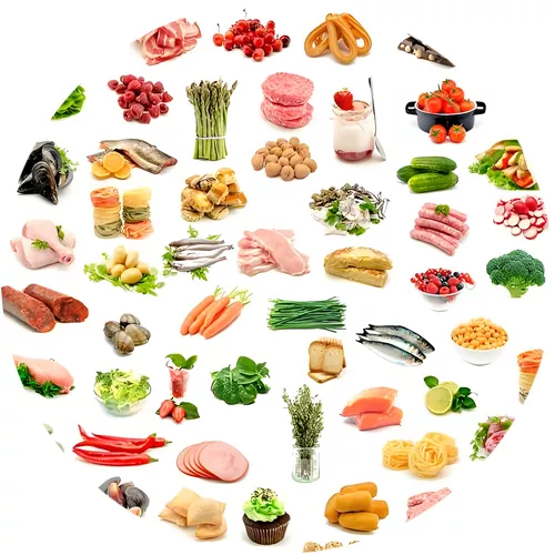 食物分类